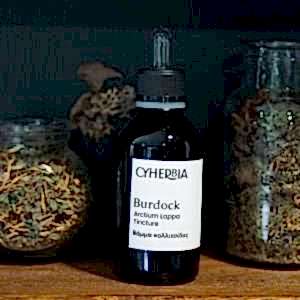 Burdock Tincture