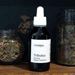 Tribulus tincture