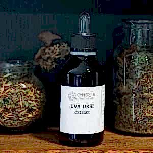 Uva ursi tincture
