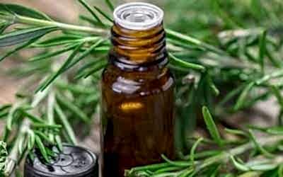 5 Ways to use Rosemary essential oil for wellbeing