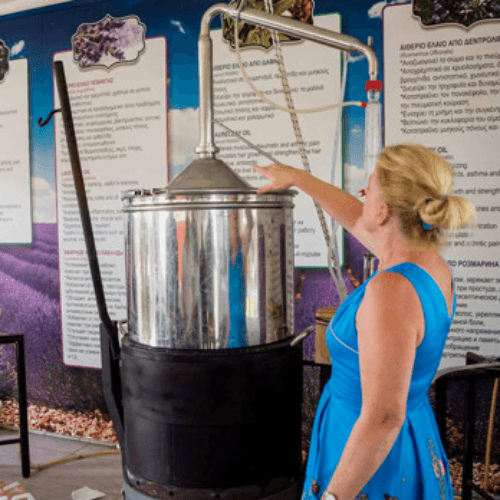 rosemary oil distilled in Cyprus