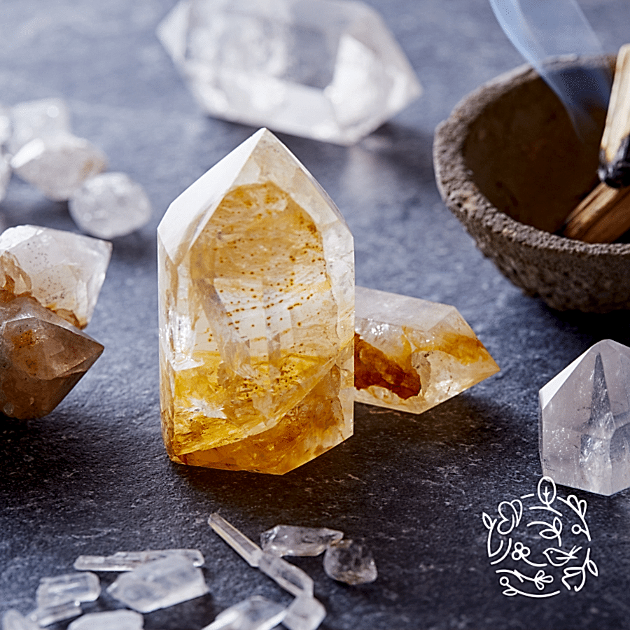 rosemary oil helps hair growth