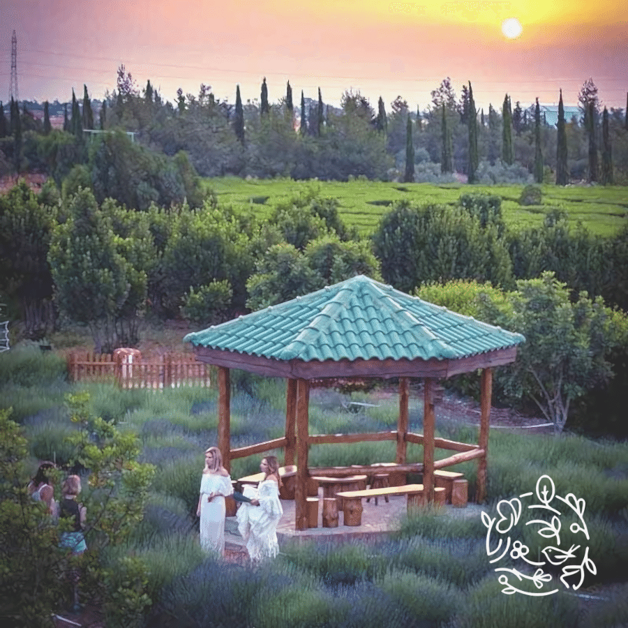 rosemary oil helps hair growth