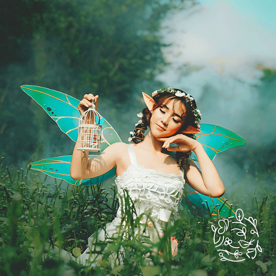 rosemary oil helps hair growth