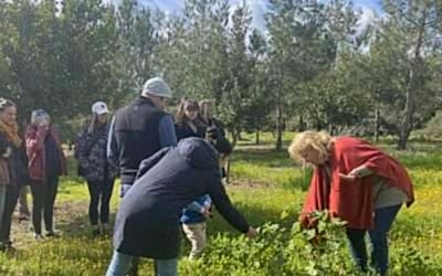 Wild Greens and Green Monday: February at Cyherbia